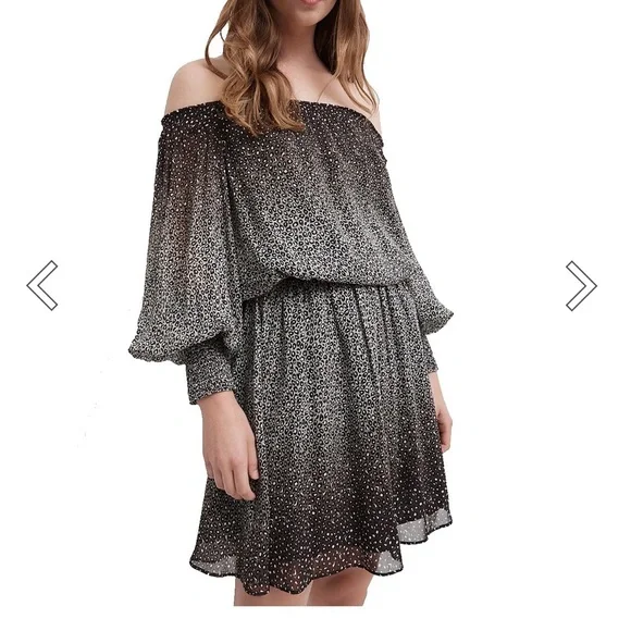 women's ruffle dress long sleeve Pleated Bodice Long Chiffon Evening Dress with Ruffle Sleeves